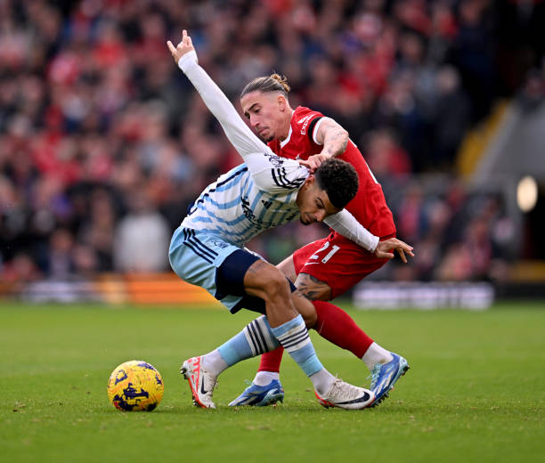 让球迷们无 让球迷们无